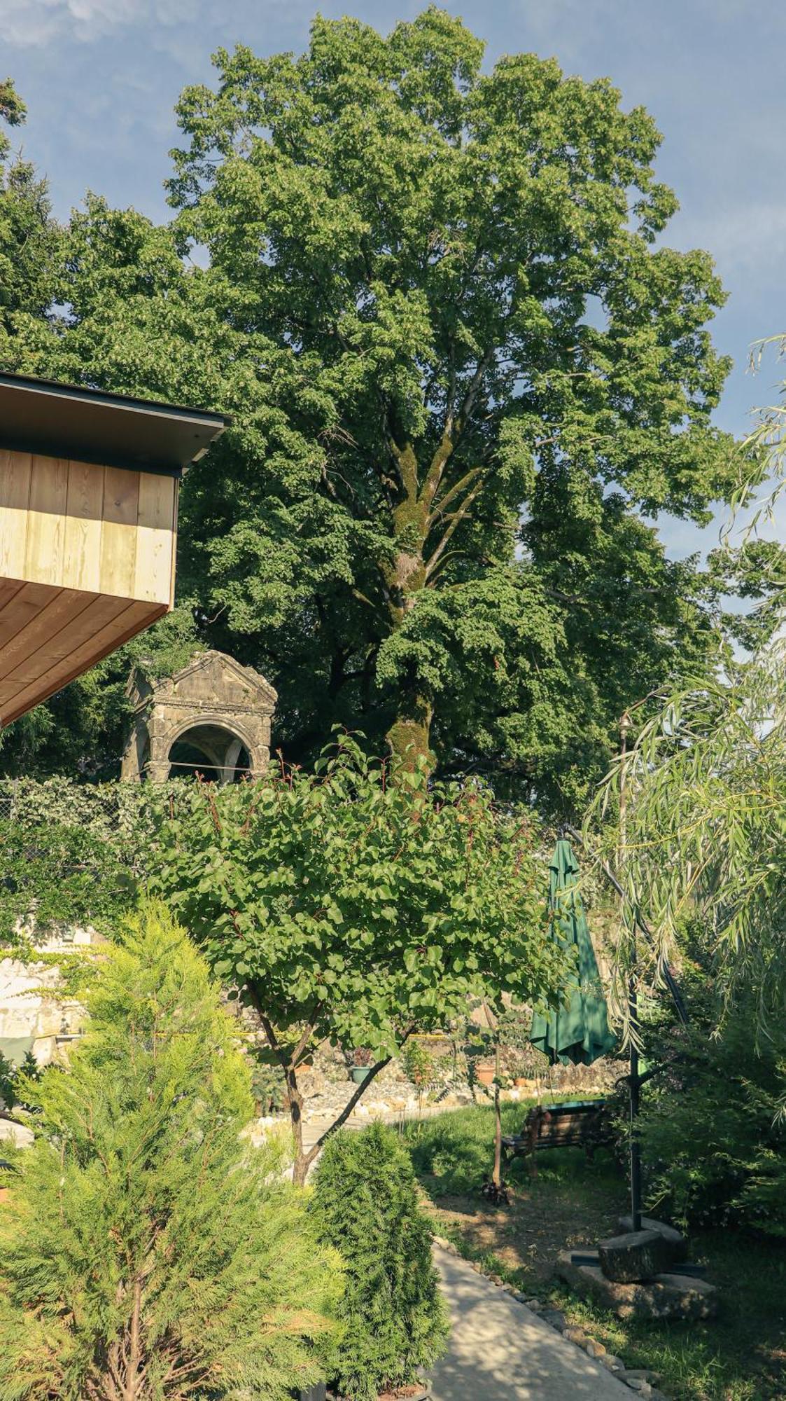 Garden Rooms In Kutaissi Exterior foto